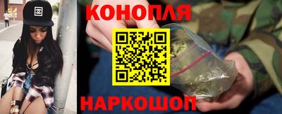 тгк Новозыбков