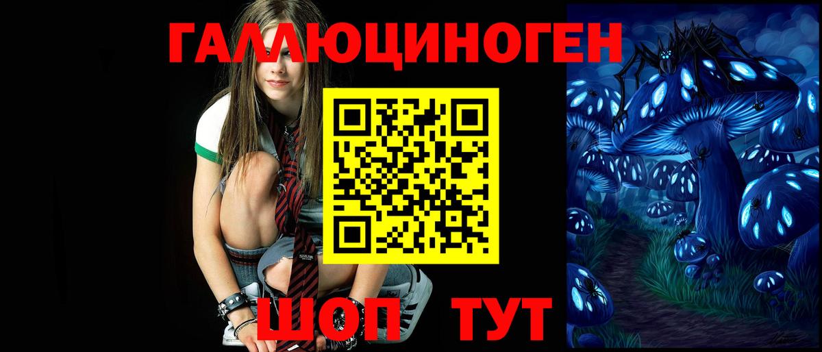 Псилоцибиновые грибы прущие грибы Курск